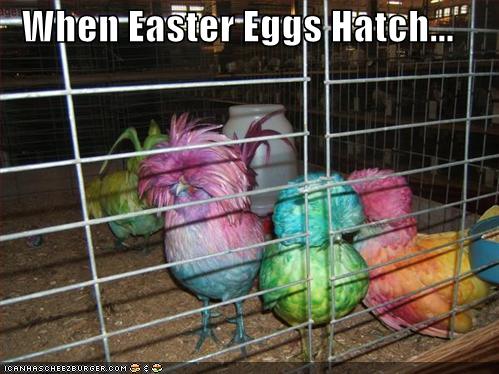 Funny Easter Eggs